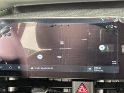 
										Kia Carnival full									
