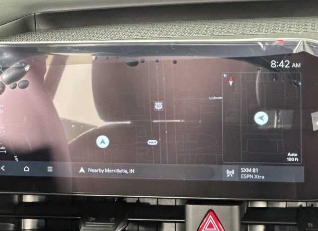 
								Kia Carnival full									