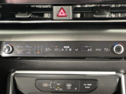 
										Kia Carnival full									
