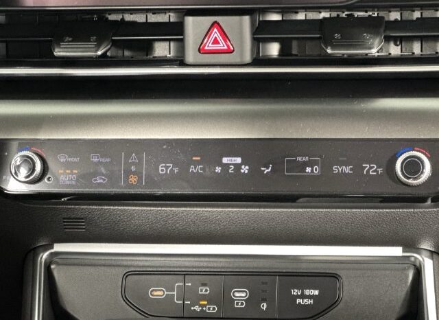 
								Kia Carnival full									