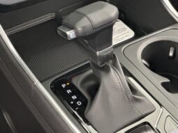
										Kia Carnival full									