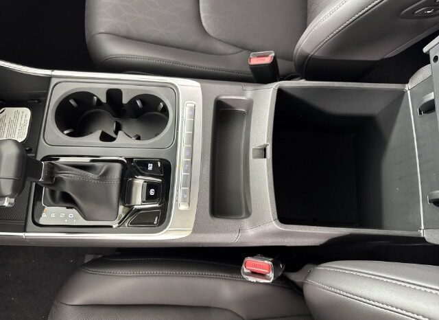 
								Kia Carnival full									