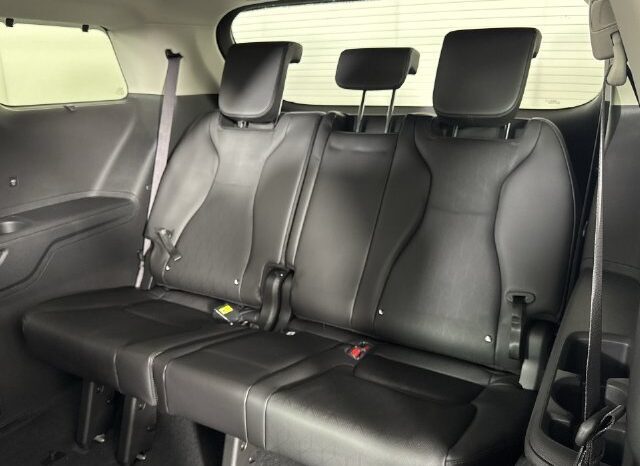 
								Kia Carnival full									