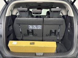 
										Kia Carnival full									