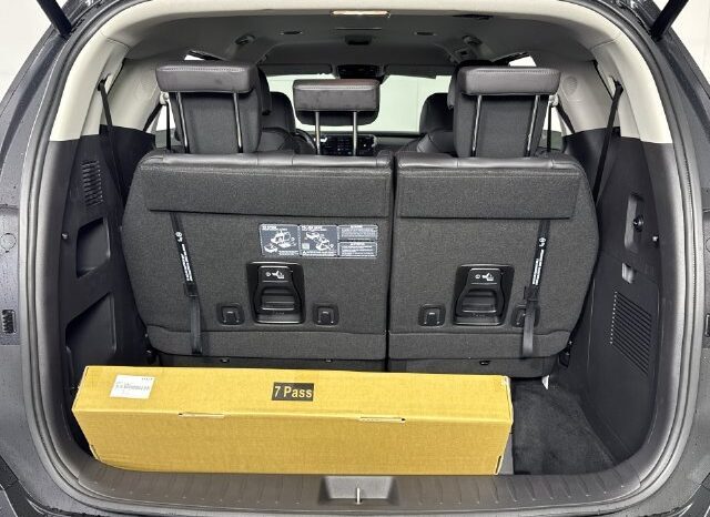 
								Kia Carnival full									