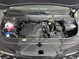 
										Kia Carnival full									