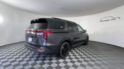 
										Kia Carnival full									