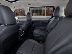 
										Kia Carnival Hybrid full									