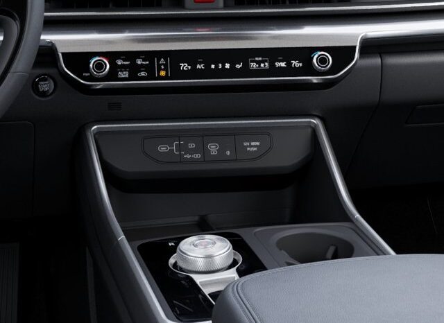 
								Kia Carnival Hybrid full									