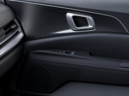 
										Kia Carnival Hybrid full									