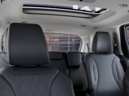 
										Kia Carnival Hybrid full									