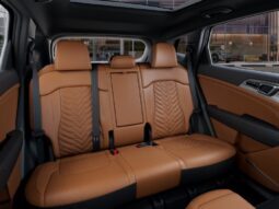 
										Kia Sportage full									