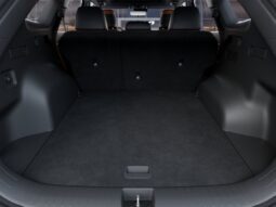 
										Kia Sportage full									