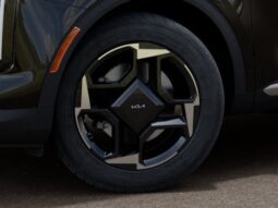 
										Kia Sportage full									