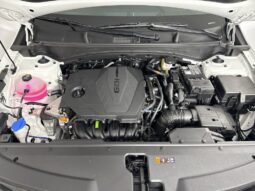 
										Kia Sportage full									