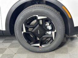 
										Kia Sportage full									