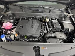 
										Kia Sportage full									
