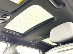 
										Kia Telluride Hybrid full									