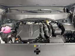 
										Kia Telluride full									