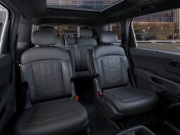 
										Kia Telluride full									