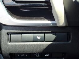 
										Nissan Rogue full									