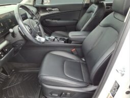 
										Kia Sportage Hybrid full									
