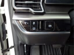 
										Kia Sportage Hybrid full									