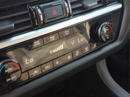 
										Nissan Pathfinder full									