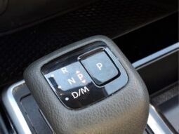 
										Nissan Pathfinder full									