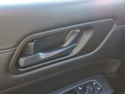 
										Nissan Pathfinder full									