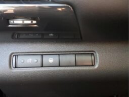 
										Nissan Pathfinder full									