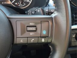 
										Nissan Pathfinder full									