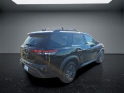 
										Nissan Pathfinder full									