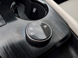 
										Nissan Rogue full									