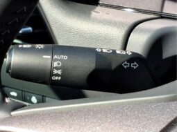 
										Nissan Sentra full									