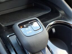 
										Nissan Rogue full									