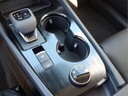 
										Nissan Rogue full									
