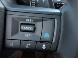 
										Nissan Rogue full									