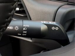 
										Nissan Sentra full									