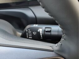 
										Nissan Sentra full									