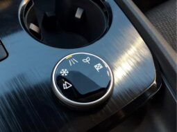 
										Nissan Rogue full									