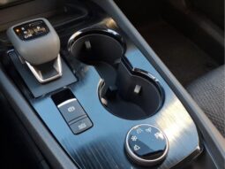 
										Nissan Rogue full									