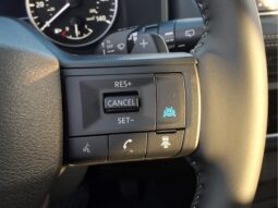 
										Nissan Rogue full									