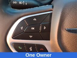 
										Chrysler Pacifica full									