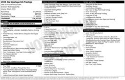 
										Kia Sportage full									