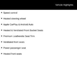 
										Kia Sportage full									