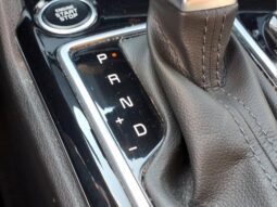 
										Kia Sportage full									