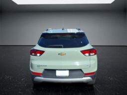 
										Chevrolet TrailBlazer full									