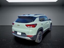 
										Chevrolet TrailBlazer full									